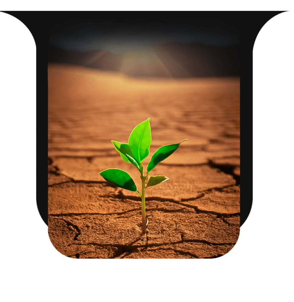 آژانس خلاقیت پیدا
